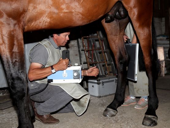 Cabinet vétérinaire Gauderon - Radio cheval - Villars sur Glâne