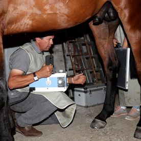 Cabinet vétérinaire Gauderon - Radio cheval - Villars sur Glâne