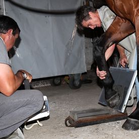 Cabinet vétérinaire Gauderon - Radio cheval - Villars sur Glâne